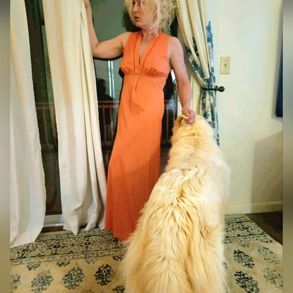 PERHAPS MY VERY FAVORITE:  VANITY FAIR GOWN WITH EXQUISITE NECKLINE SIZE… - Picture 11 of 14